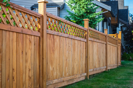 Cedar privacy fence with lattice top along a backyard